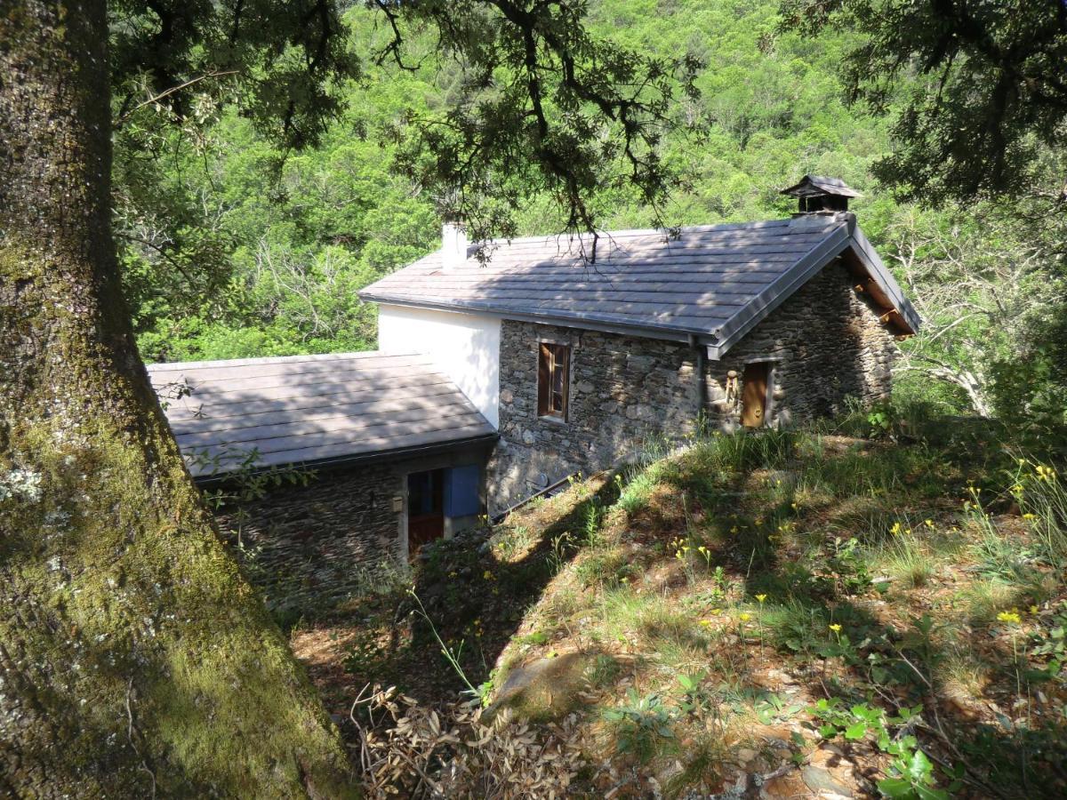 Transgardon B&B En Cevennes Saint-Privat-de-Vallongue Exterior foto