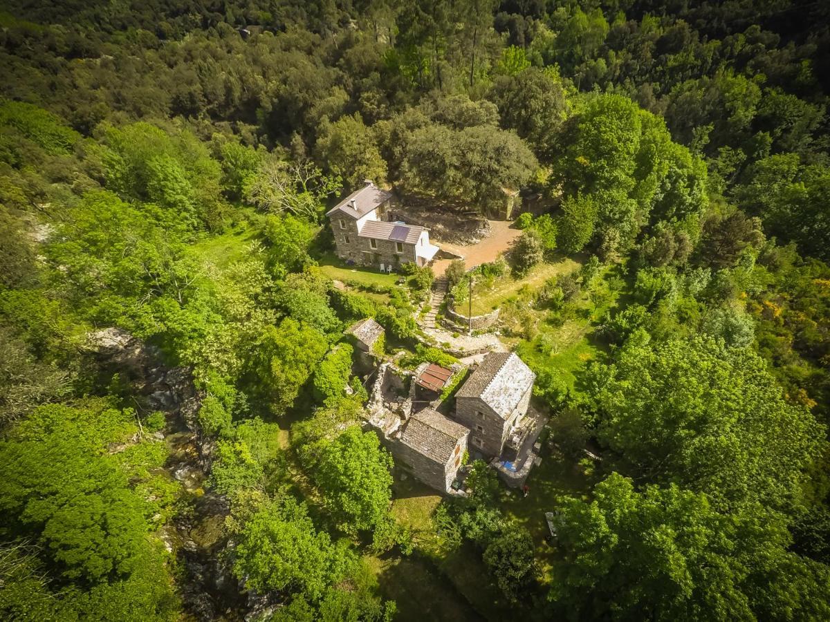 Transgardon B&B En Cevennes Saint-Privat-de-Vallongue Exterior foto