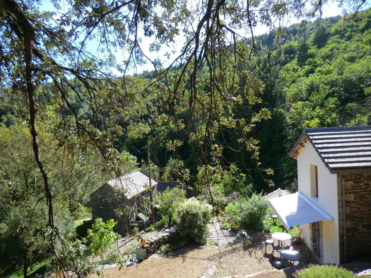 Transgardon B&B En Cevennes Saint-Privat-de-Vallongue Exterior foto