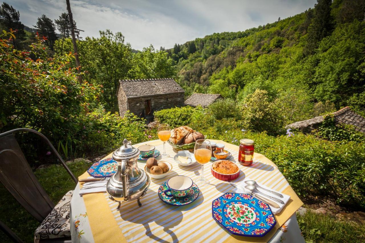 Transgardon B&B En Cevennes Saint-Privat-de-Vallongue Exterior foto