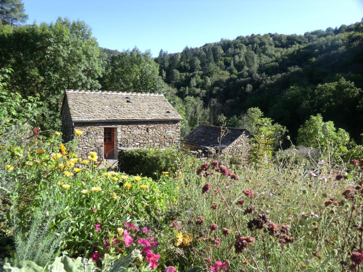 Transgardon B&B En Cevennes Saint-Privat-de-Vallongue Exterior foto